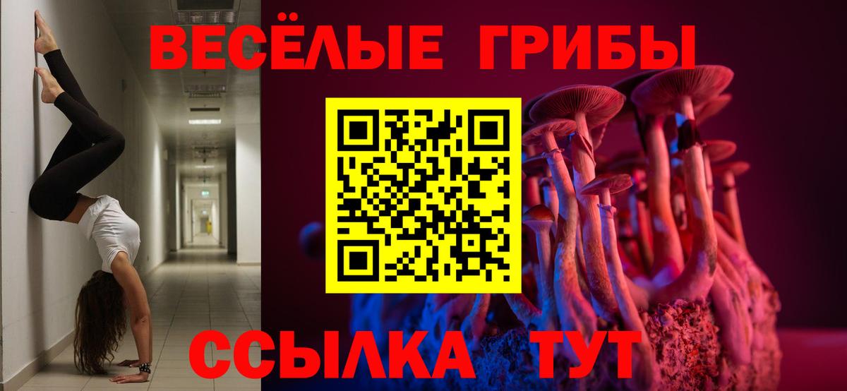 Псилоцибиновые грибы мицелий  цена   Семёнов  Вход с VPN  Галлюциногенные грибы Magic Shrooms 